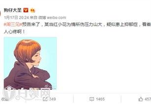 小花最新爆料视频大全,揭秘娱乐圈幕后真相